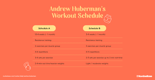 Andrew Huberman's Daily Workout