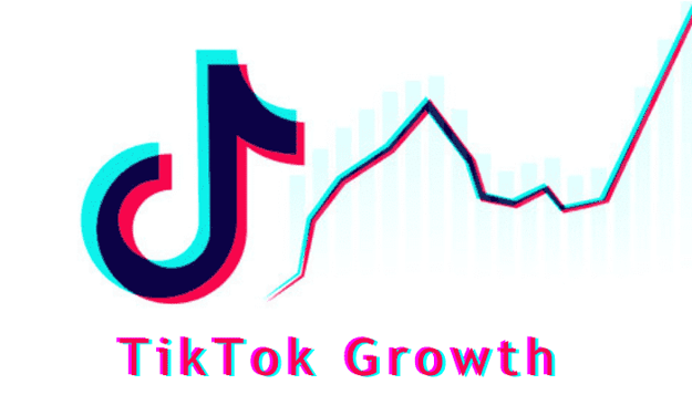 Track TikTok Metrics