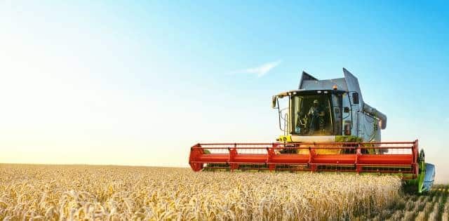 A farmer wearing a hat is driving a large combine harvester through a field of wheat during the day.
