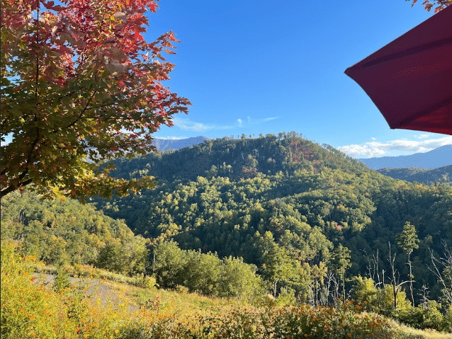 Tips for Finding the Perfect Place to Stay During Your Trip