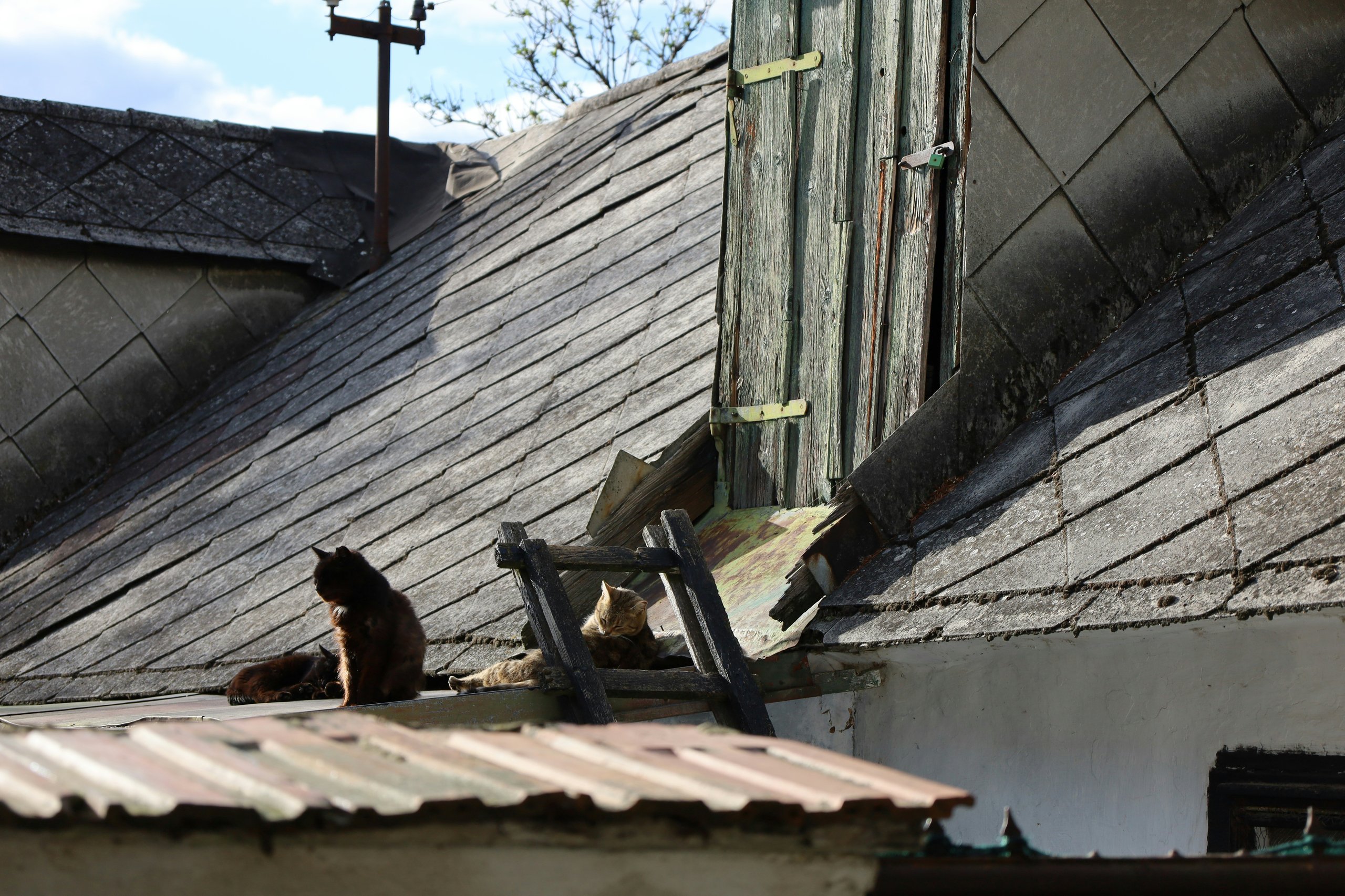 What Thermally Broken Roof Hatches Do Differently