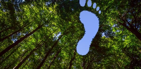 Take Action in 2026: Your Business’s Carbon Footprint Plan