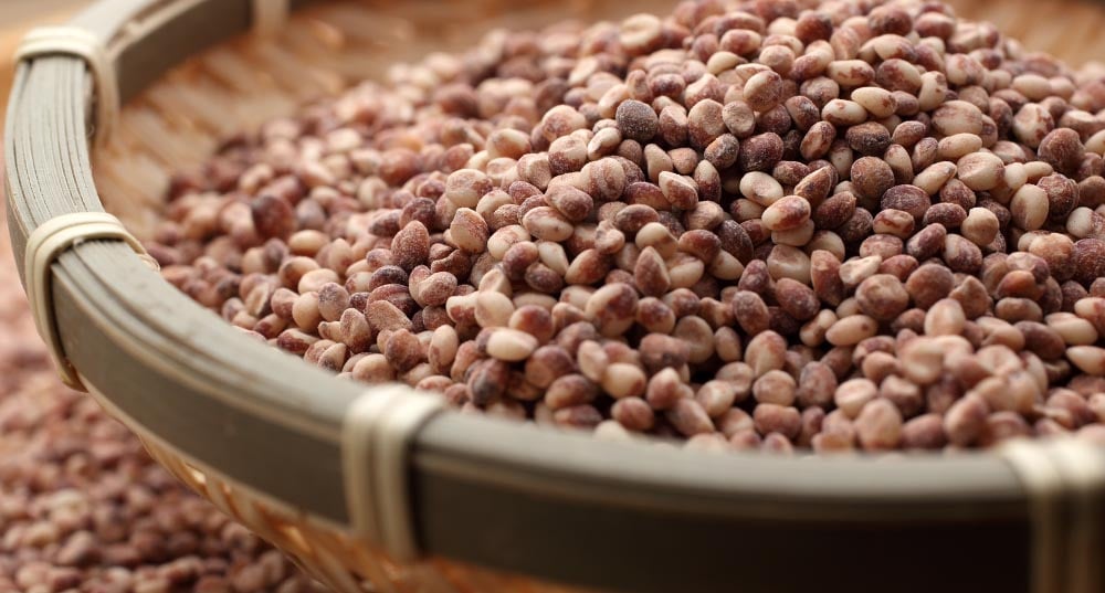 高キビ（たかきび）のイメージ