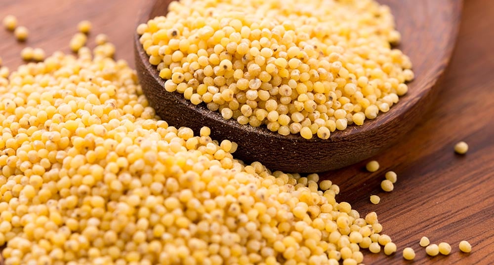 もちアワ・うるちアワ（粟）のイメージ