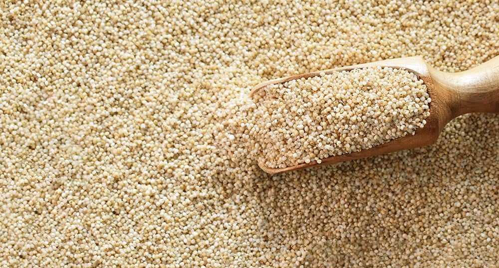 ヒエのイメージ