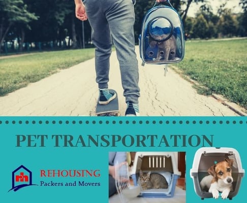 pet relocation services by Rehousing packers and Movers