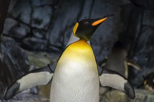 KVM Installation Guide | Linux Virtualization Setup