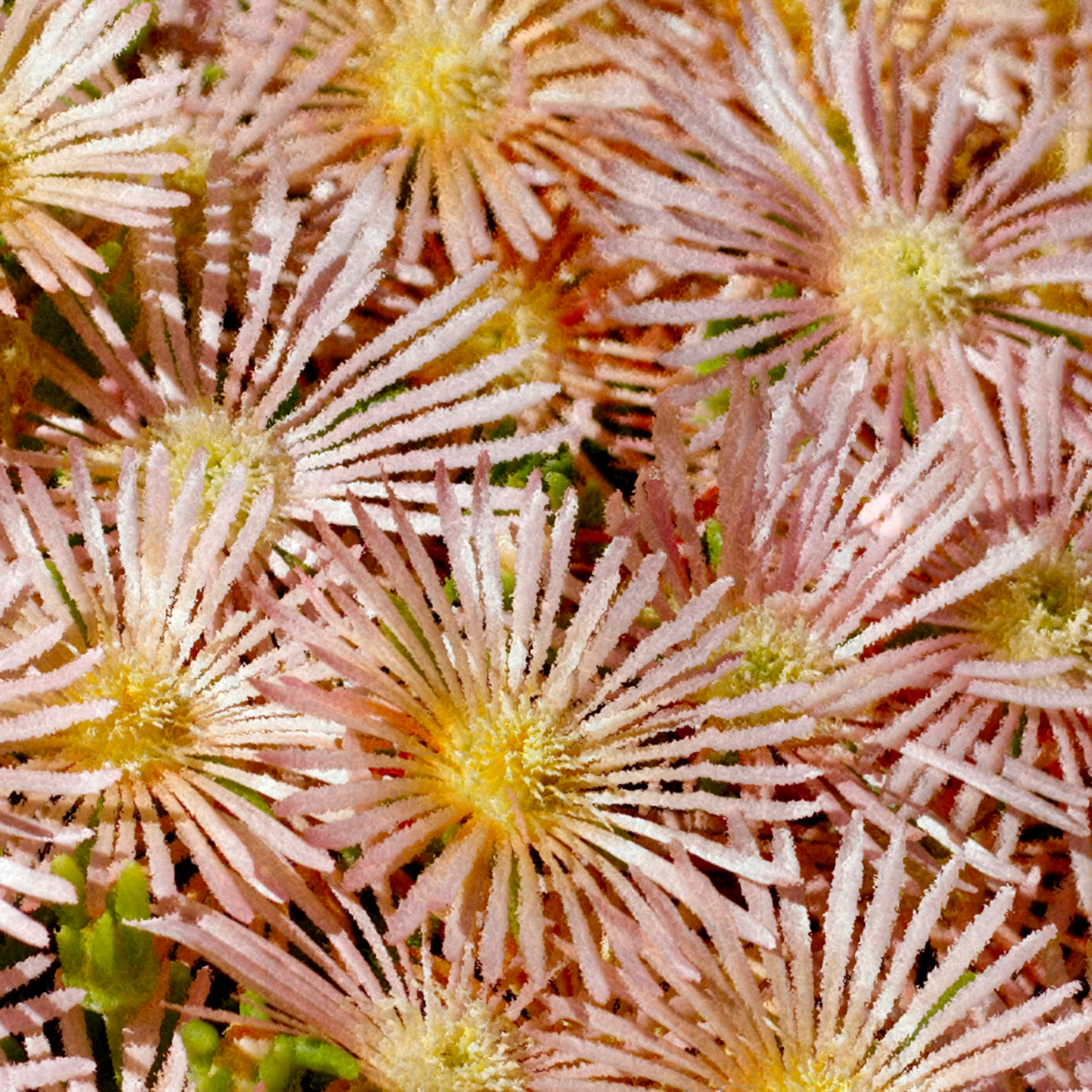 Pregnancy & postpartum