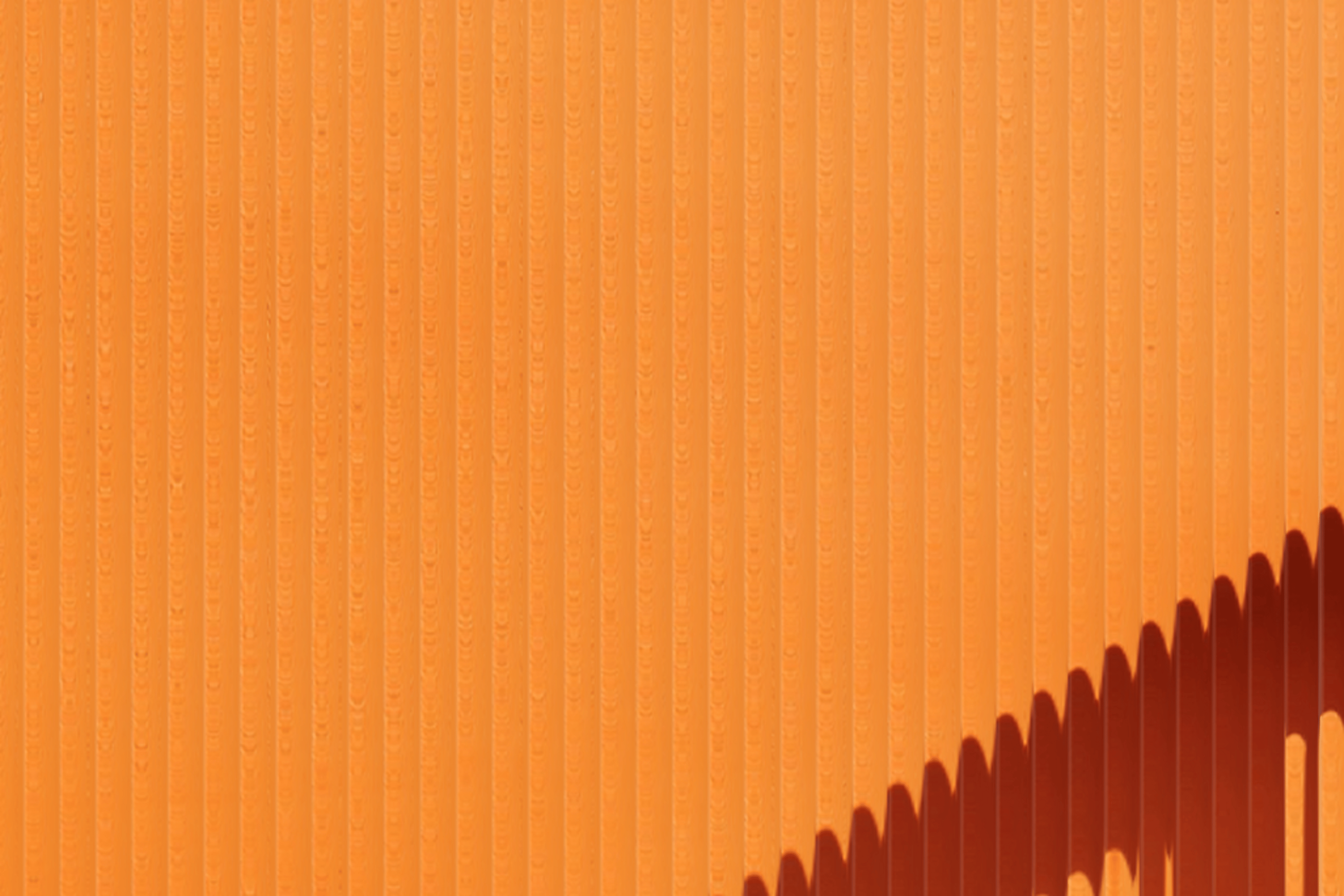 Black, indigenous, people of colour