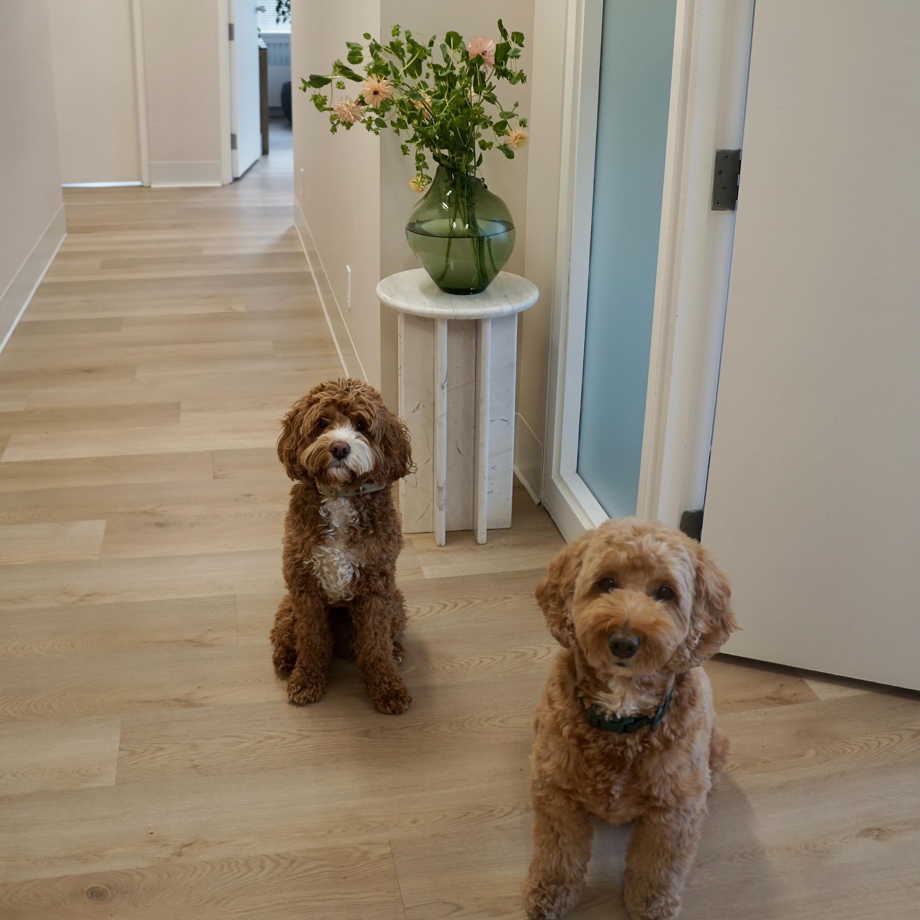 image 9 in clinic photo slideshow