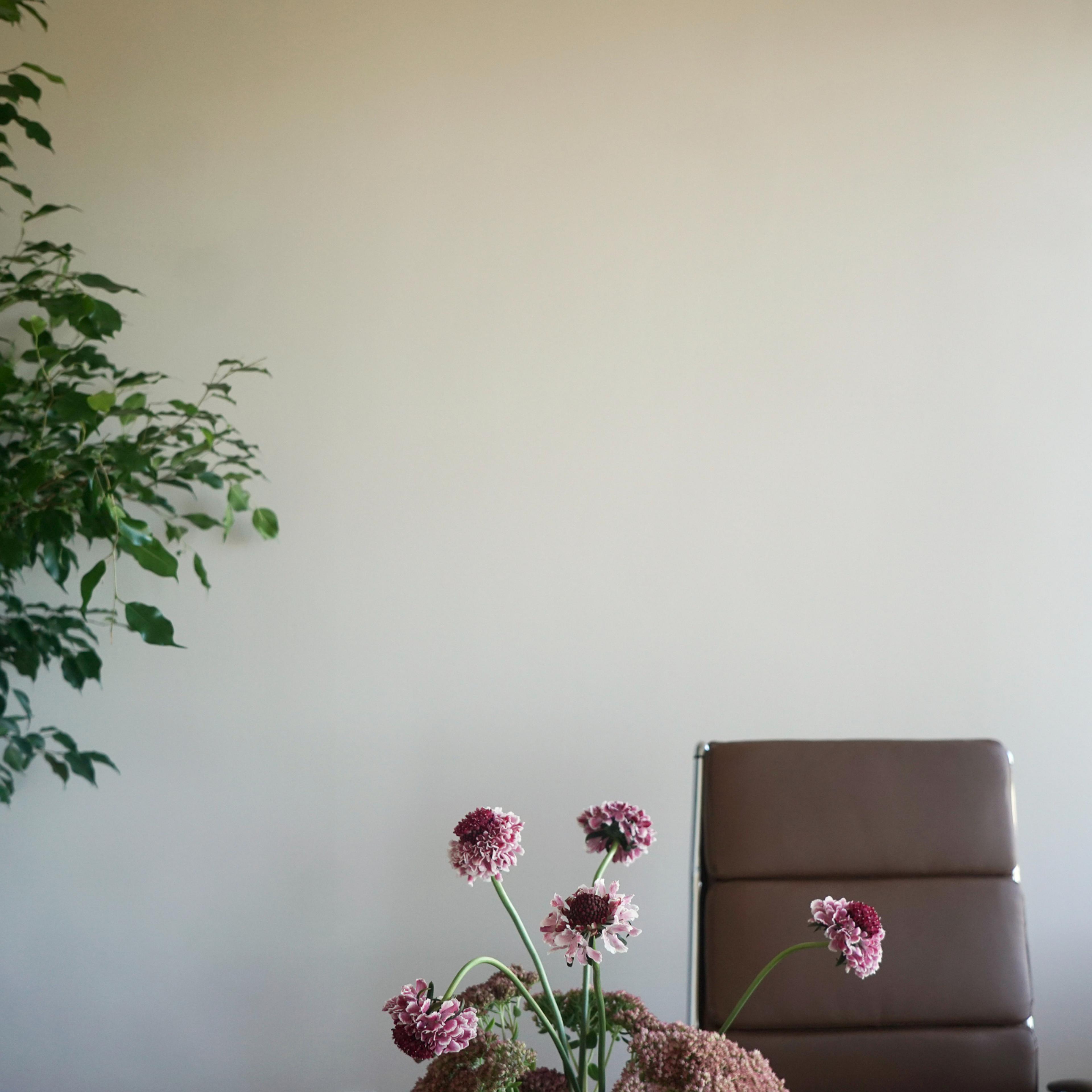 image 7 in clinic photo slideshow