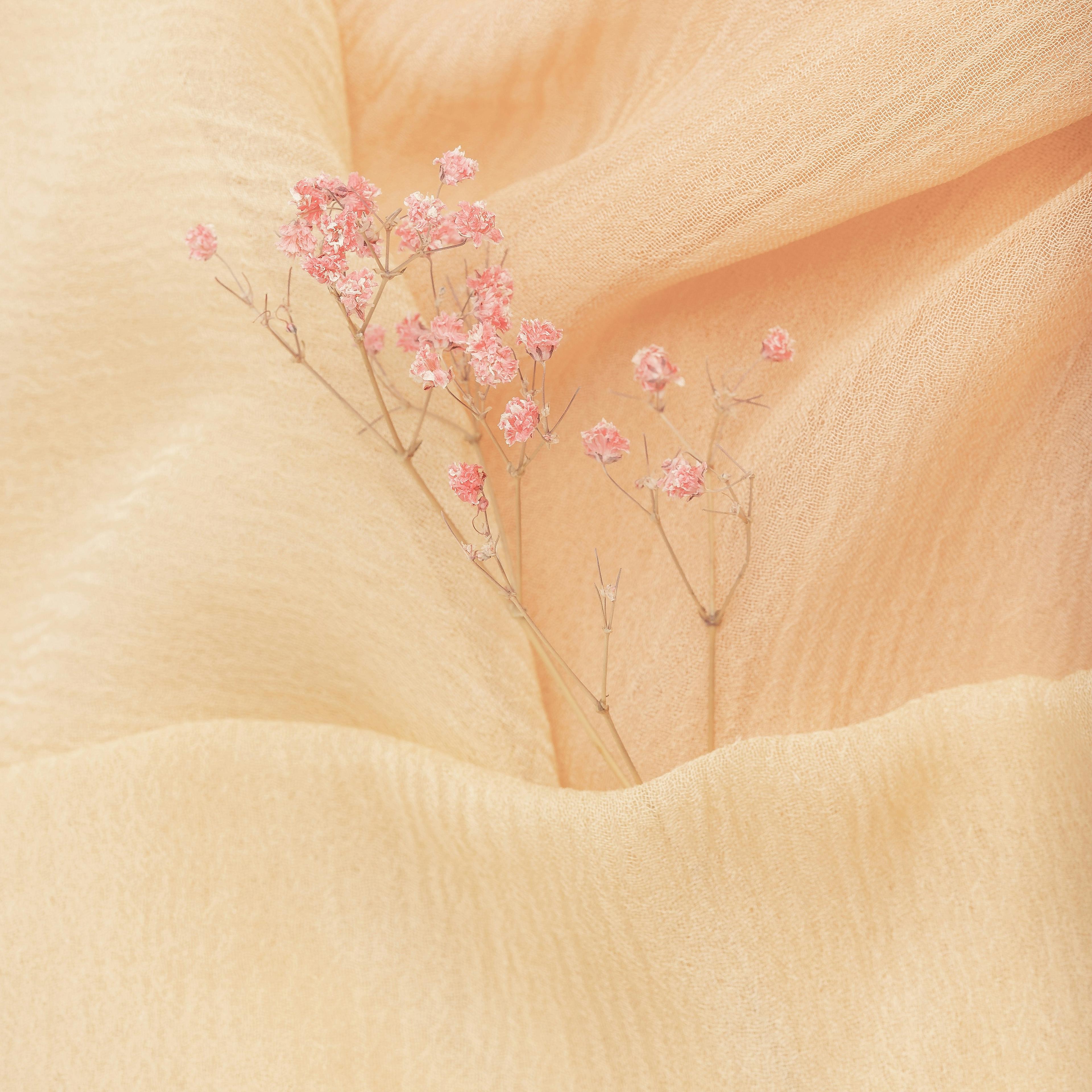 Create your own guide on Promptd