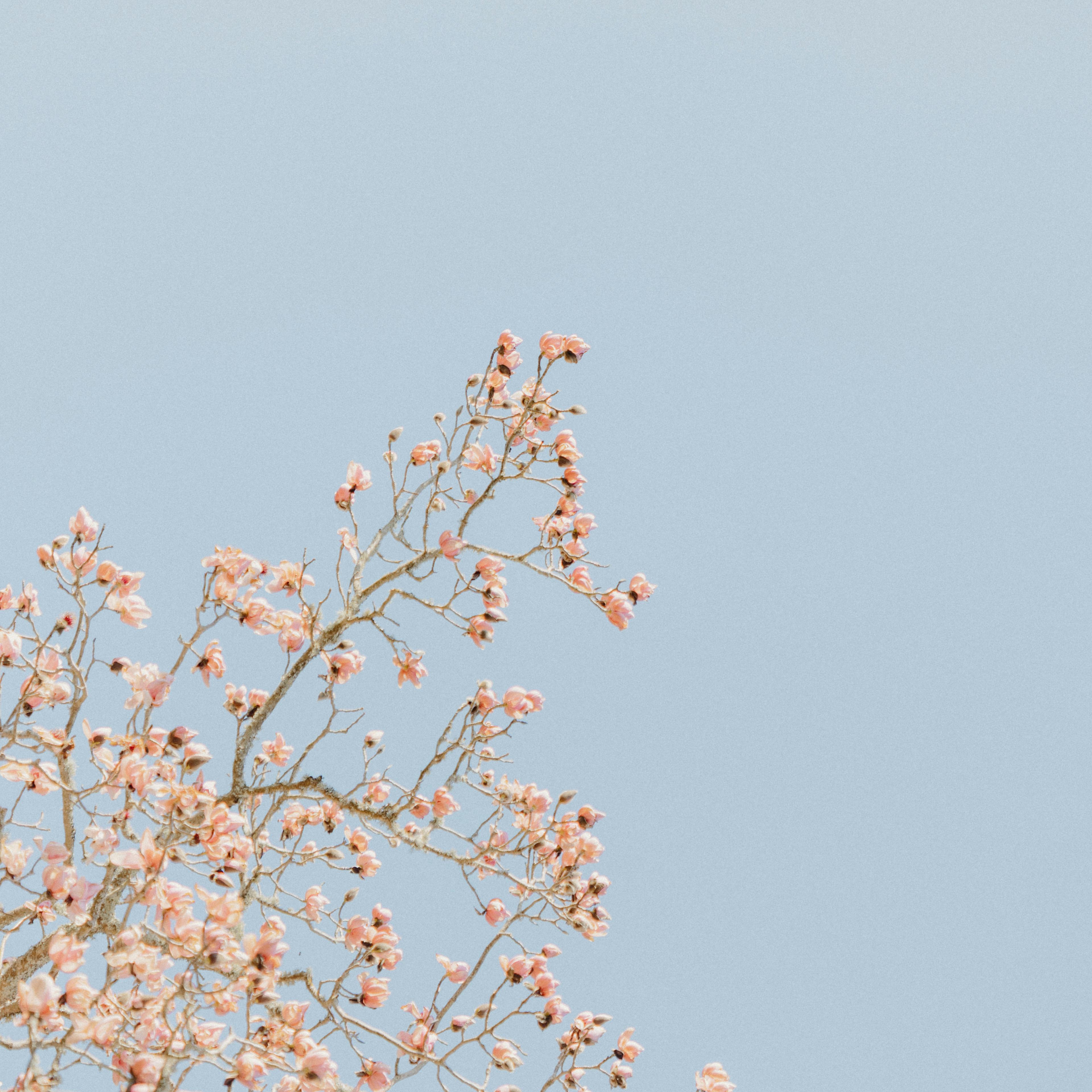 Create your own collection on Promptd