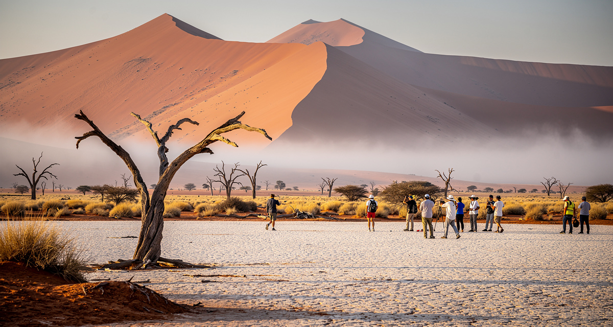 Namibia country code +264 illustration