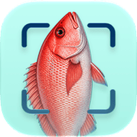 CatchScan fish identifier app icon