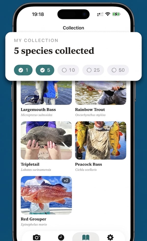 CatchScan collection of identified freshwater fish including largemouth bass, rainbow trout and peacock bass