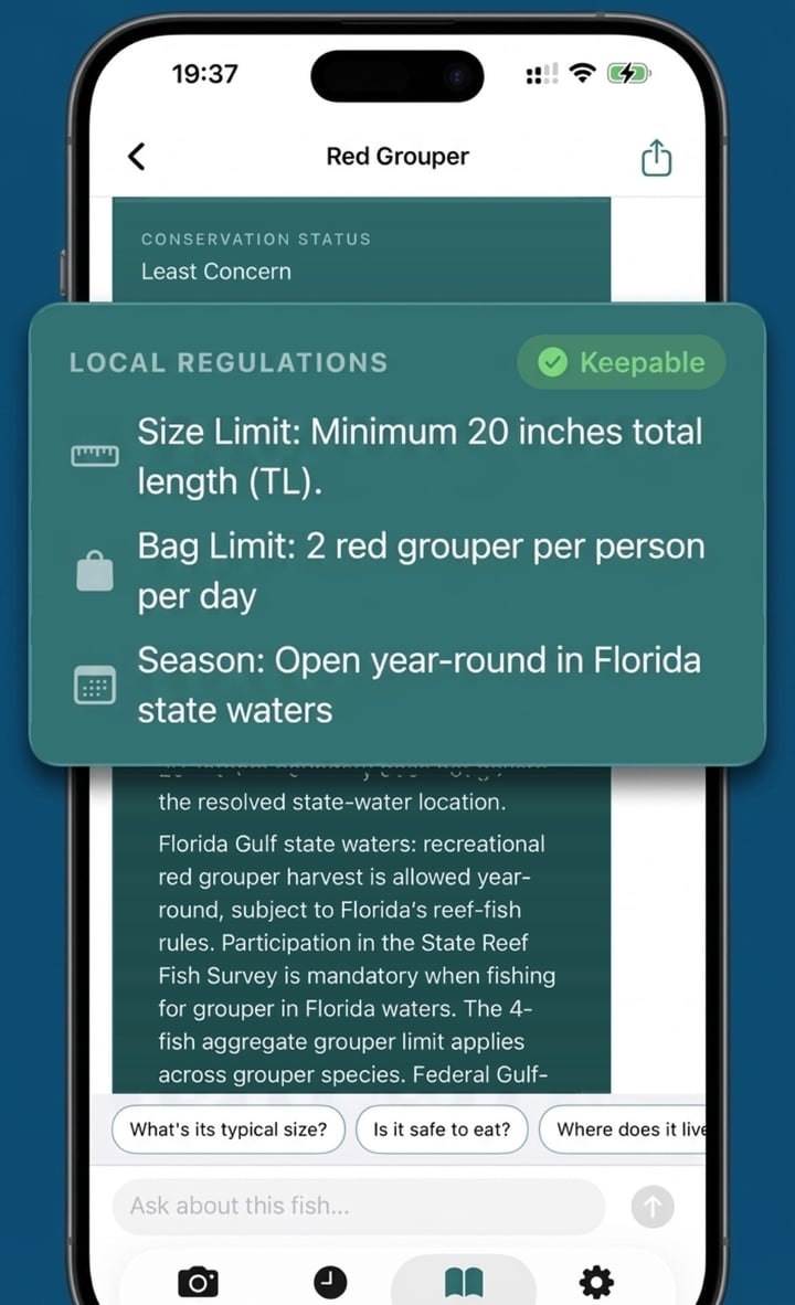 CatchScan showing local fishing regulations for red grouper in Florida state waters with a Keepable verdict, size limit, bag limit and season