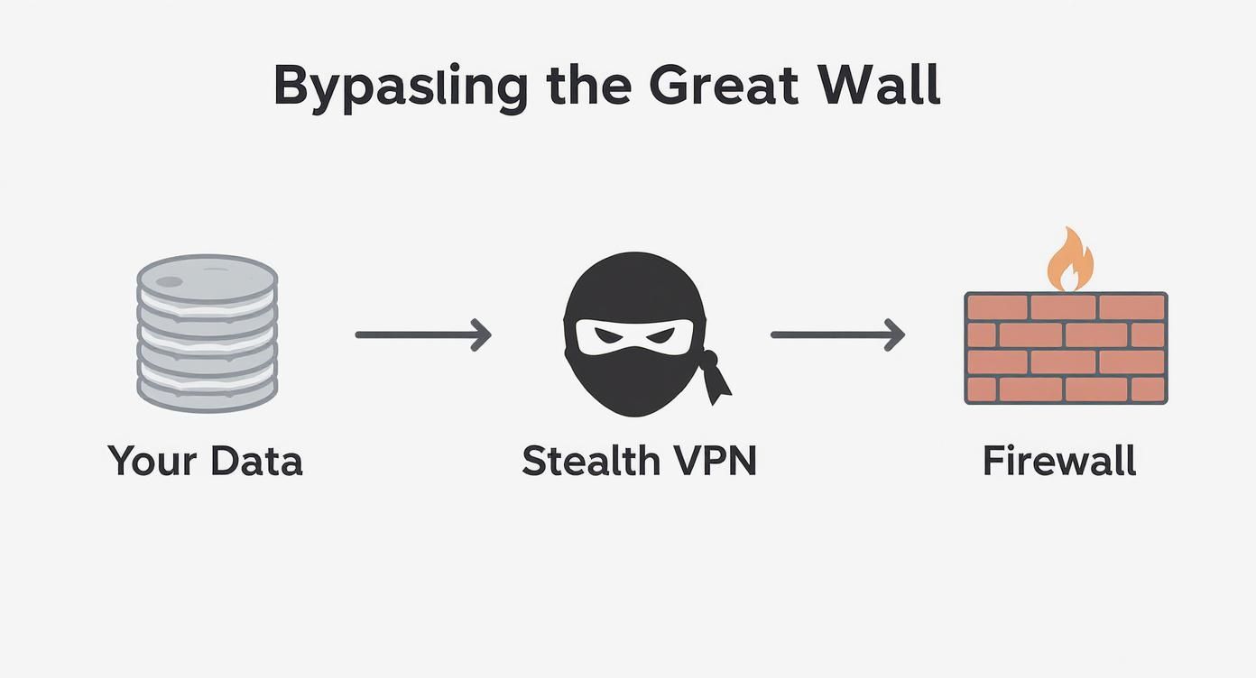 مخطط يُظهر كيف تستخدم 'بياناتك' 'VPN التخفي' لتجاوز 'جدار الحماية'.