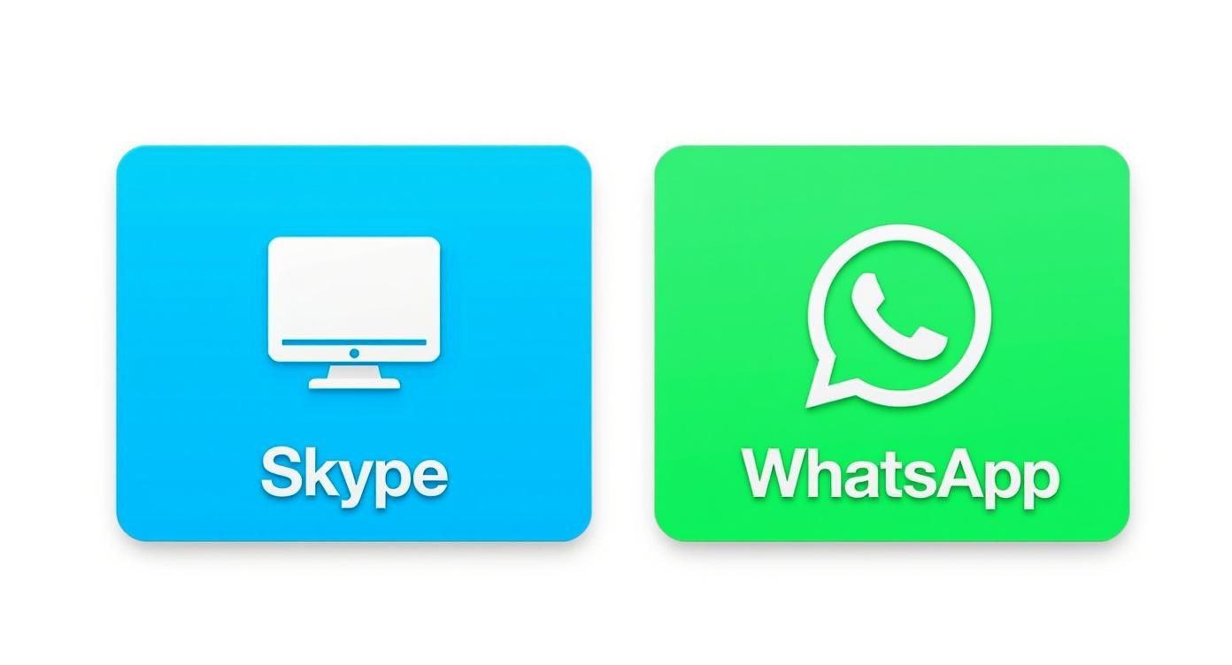 Infografik zu Alternativen zu Skype für Auslandstelefonate