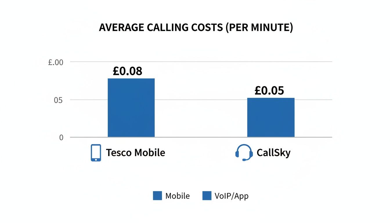 Bar chart comparing average calling costs per minute: Tesco Mobile at £0.08 and CallSky at £0.05.
