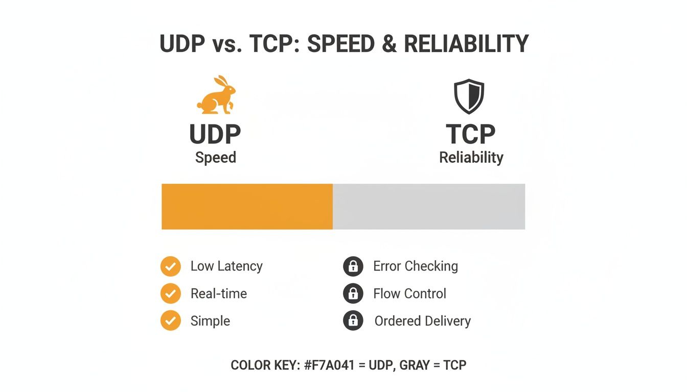 A visual comparison of UDP and TCP protocols, showcasing UDP's speed and TCP's reliability features.
