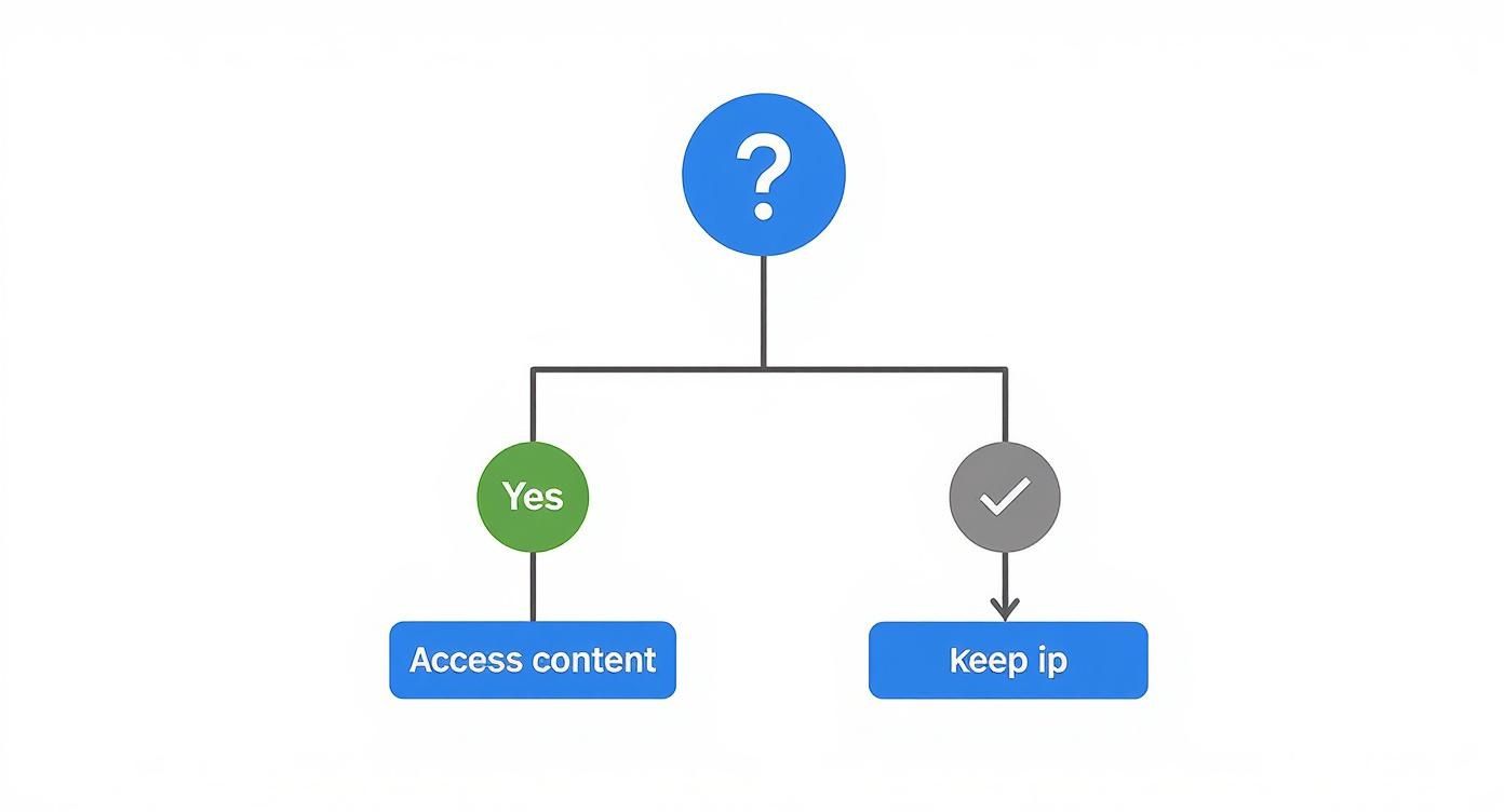 A flowchart showing a decision process with a question mark leading to 'Yes' and 'Access content' or a checkmark and 'Keep ip'.
