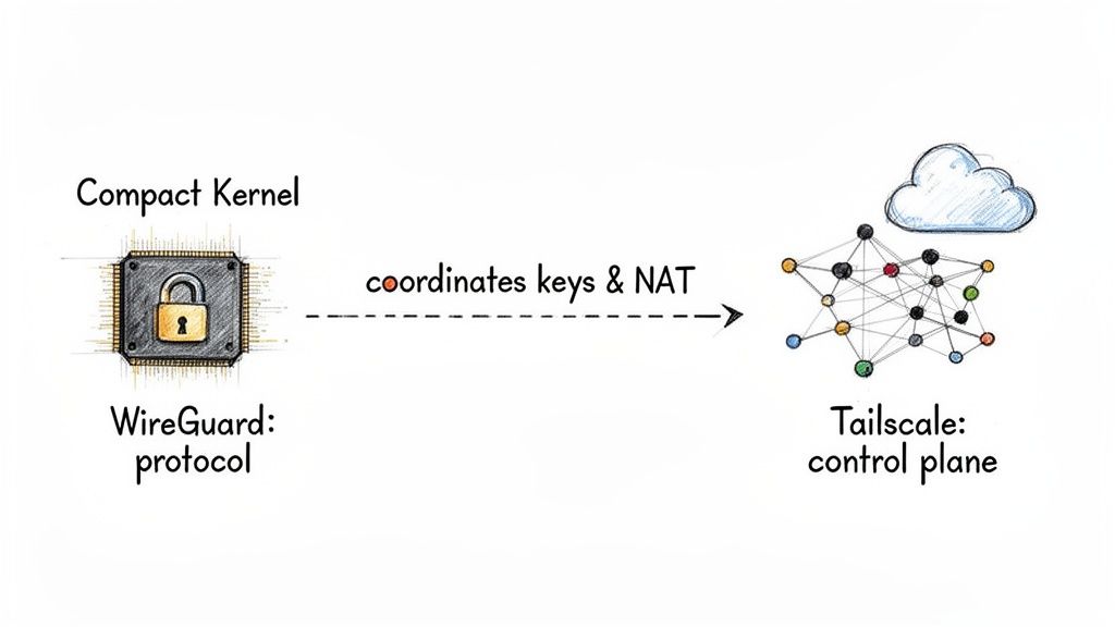 Diagram illustrating WireGuard protocol in a compact kernel coordinating keys and NAT with Tailscale control plane.