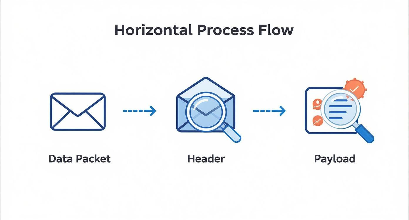 关于深度数据包检测的信息图