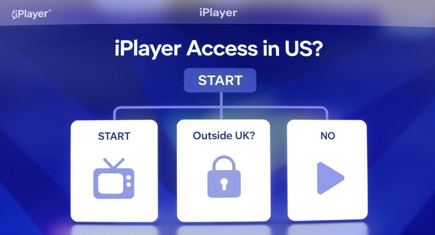 Infographic about bbc iplayer in the us