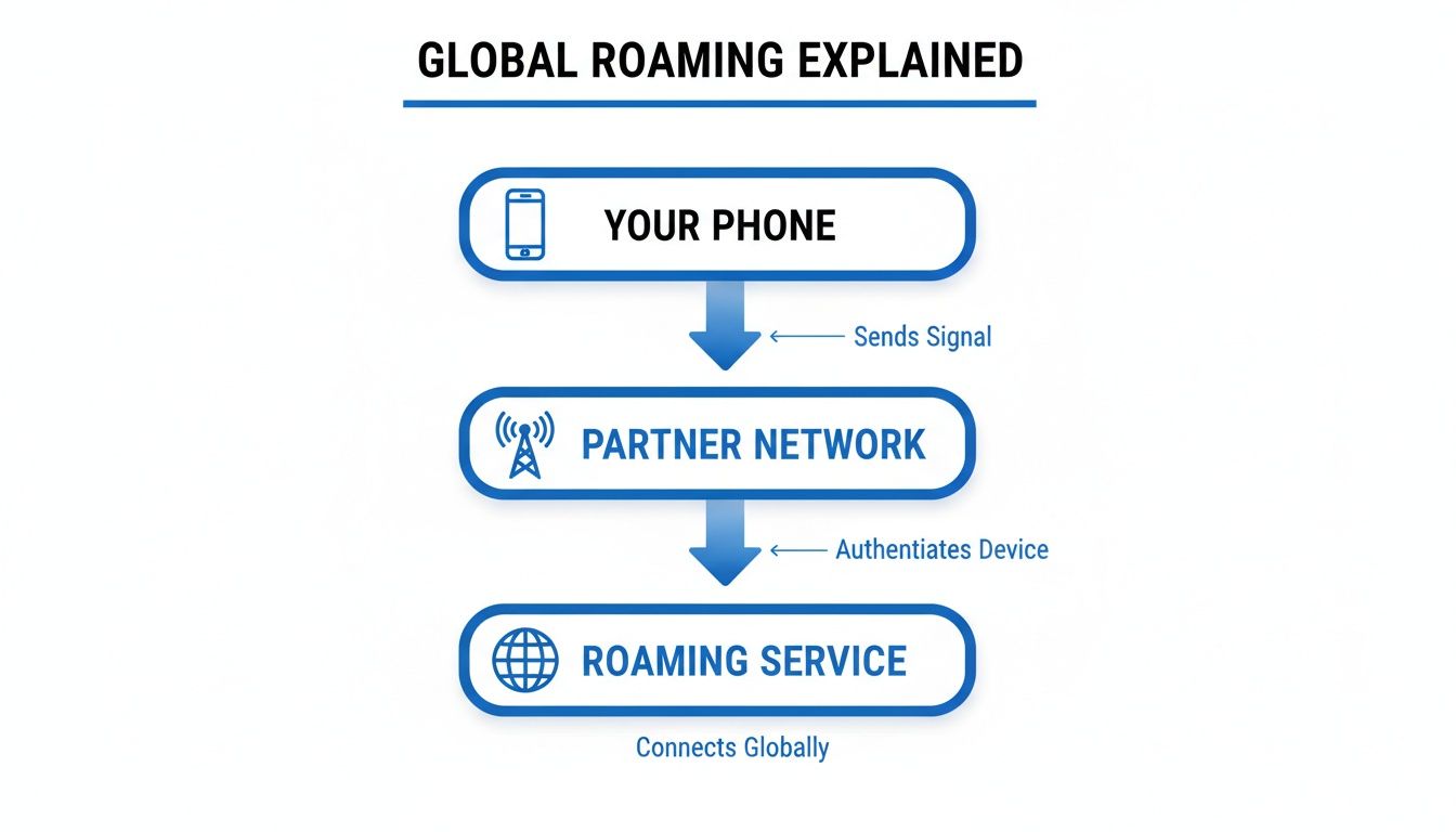 A flowchart explaining global roaming: Your phone sends a signal to a partner network, which authenticates the device and connects globally via roaming service.