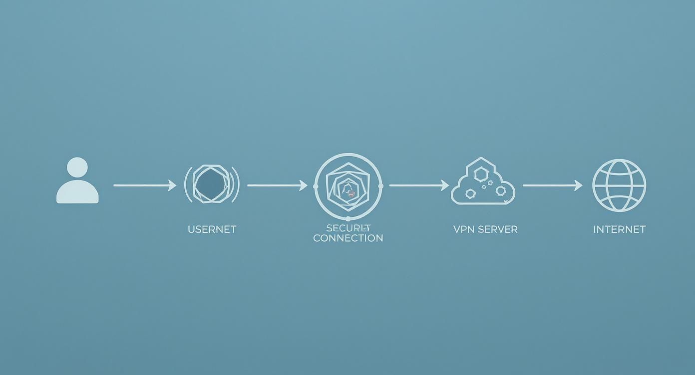 لقطة شاشة من https://www.torproject.org/