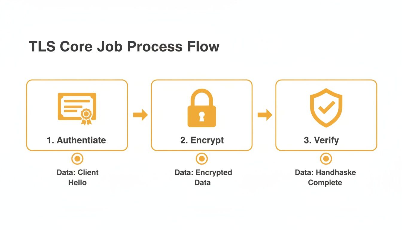 TLS Core Job Process Flow diagram illustrating authentication, encryption, and verification steps with associated data.