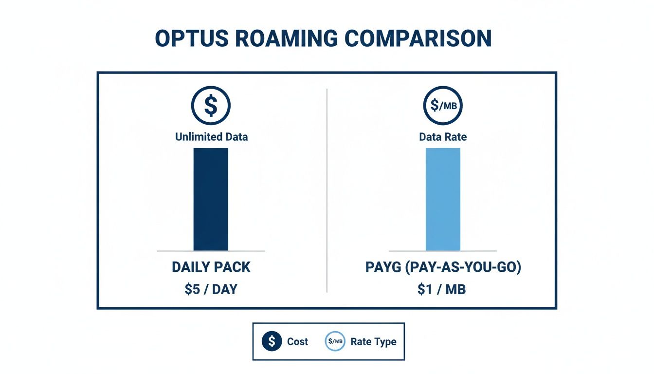 Optus roaming comparison: Daily pack for $5/day with unlimited data versus pay-as-you-go for $1/MB.