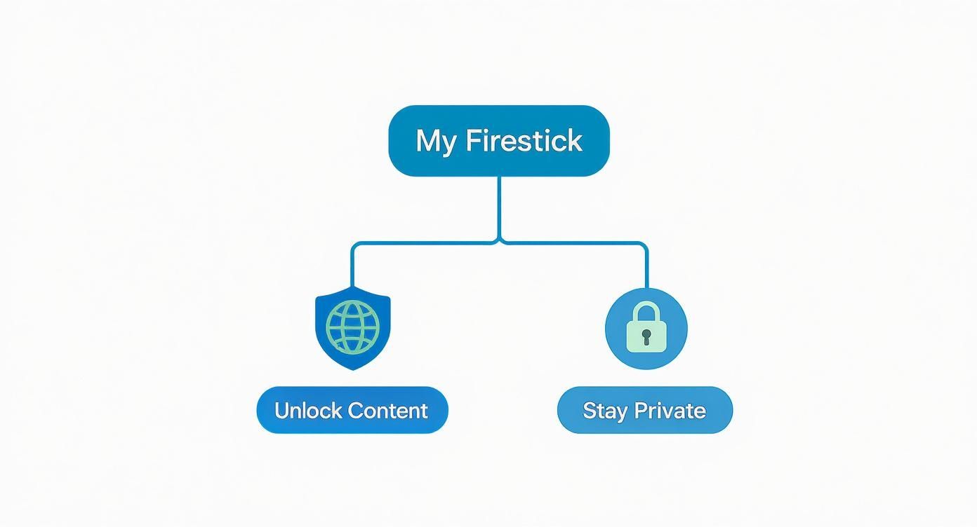 مخطط يوضح ميزات Firestick مع خيارات فتح المحتوى والبقاء خاصًا موضحة بأيقونات