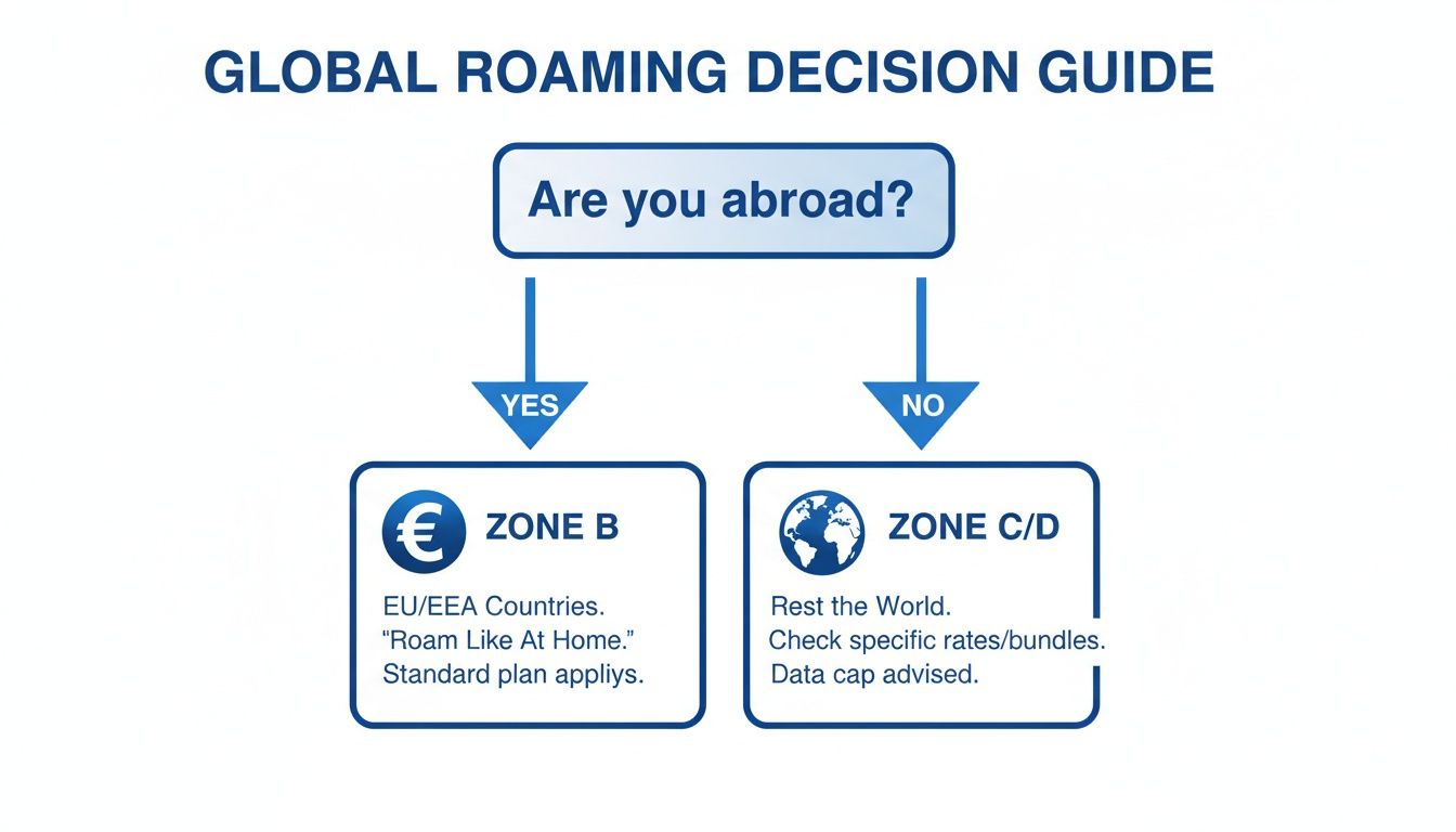 A flowchart guiding global roaming decisions, distinguishing between EU/EEA (Zone B) and Rest of World (Zone C/D).