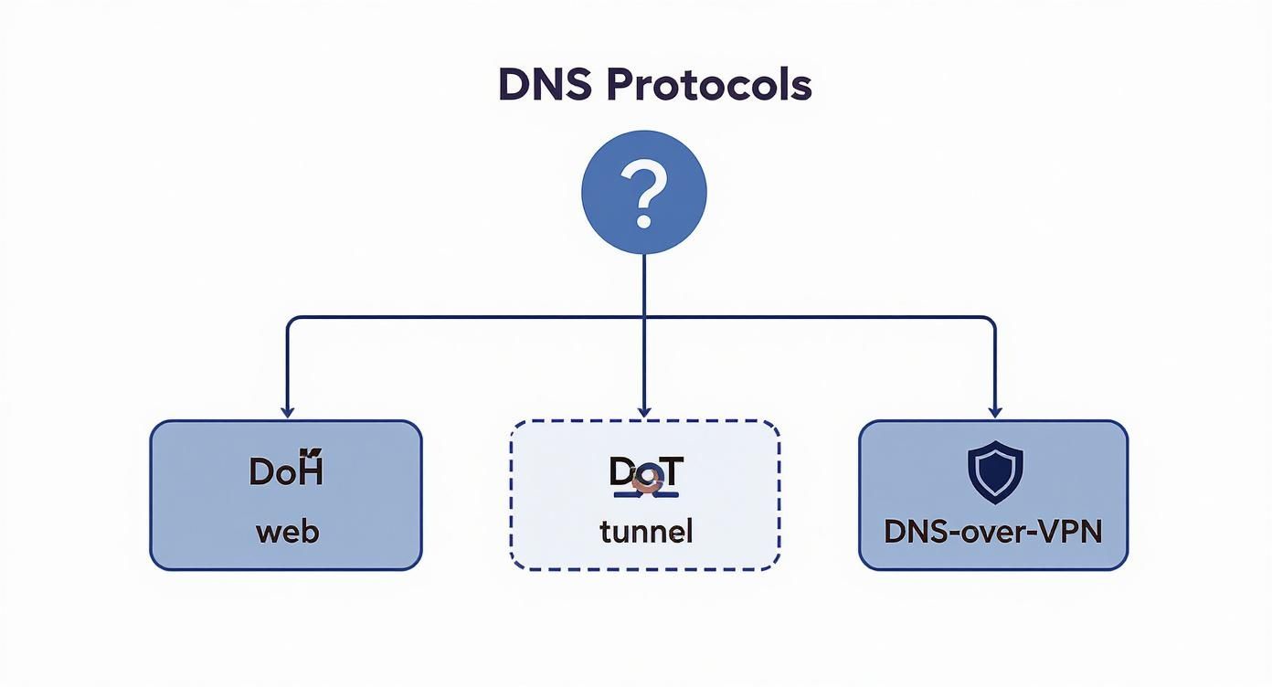 Diagram showing three DNS protocol branches: DoH web, DoT tunnel, and DNS-over-VPN security options