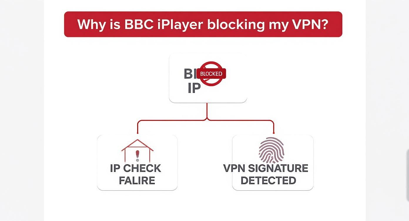 Infographic about bbc iplayer vpn not working