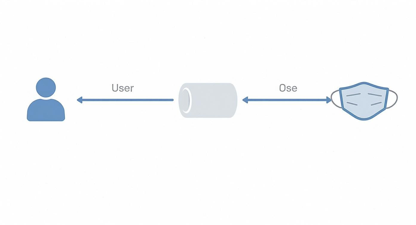 A diagram illustrating a conceptual flow between a user icon, a cylindrical device, and a face mask labeled 'Ose'.