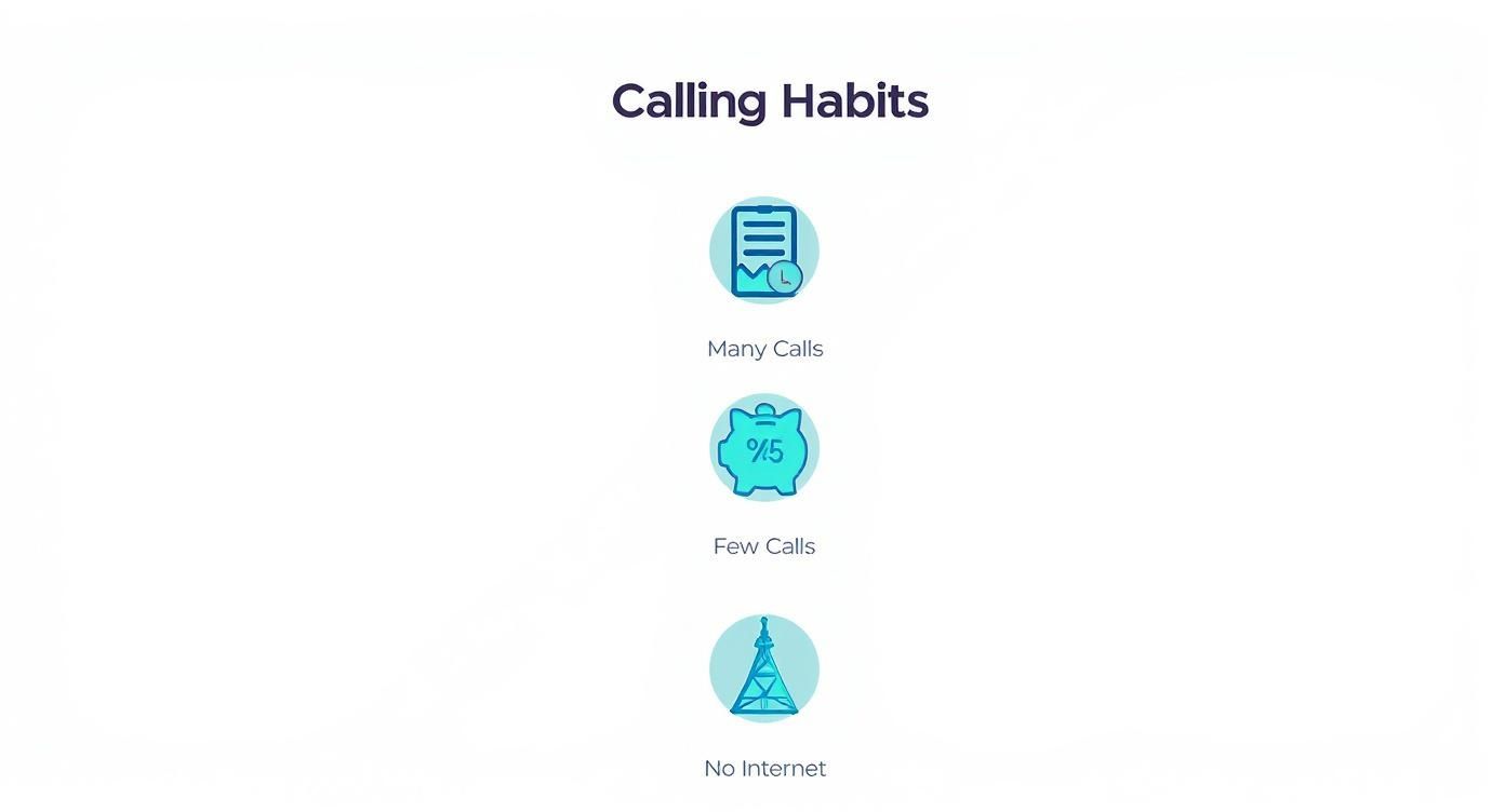 Infografik über die günstigste App für Auslandstelefonate