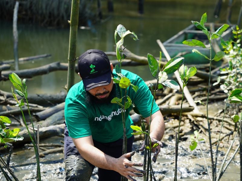 CEO LindungiHutan, Ben, tanam mangrove di Tambakrejo, Semarang.