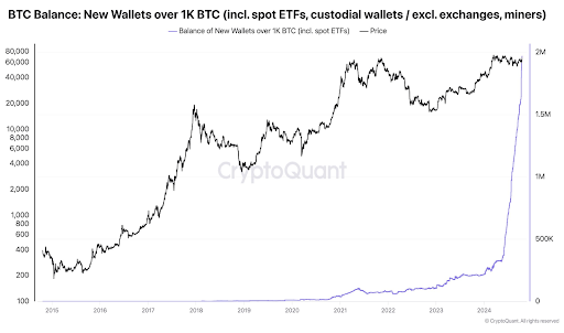 Sumber: thecryptobasic.com