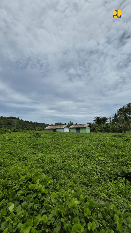Lokasi Proyek Pembangunan Sekolah Rakyat Halmahera Kementerian Pekerjaan Umum