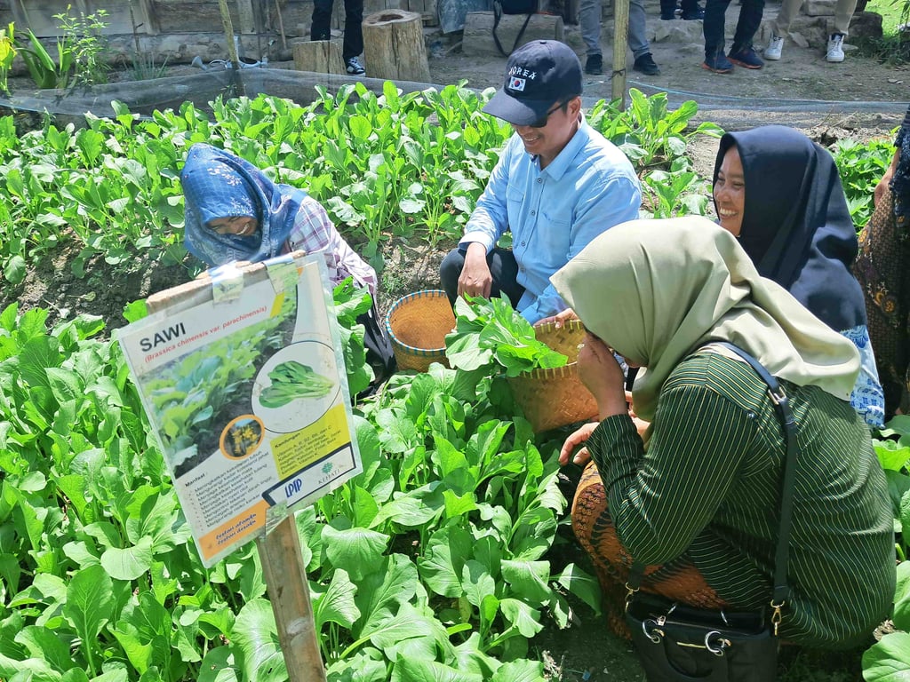 Yayasan KEHATI mendorong kegiatan budi daya sayuran di perkarangan rumah warga di Desa Banyurip dengan tujuan sebagai pemenuhan gizi rumah tangga dan mengurangi pengeluaran masyarakat dalam pemenuhan kebutuhan sehari-hari 