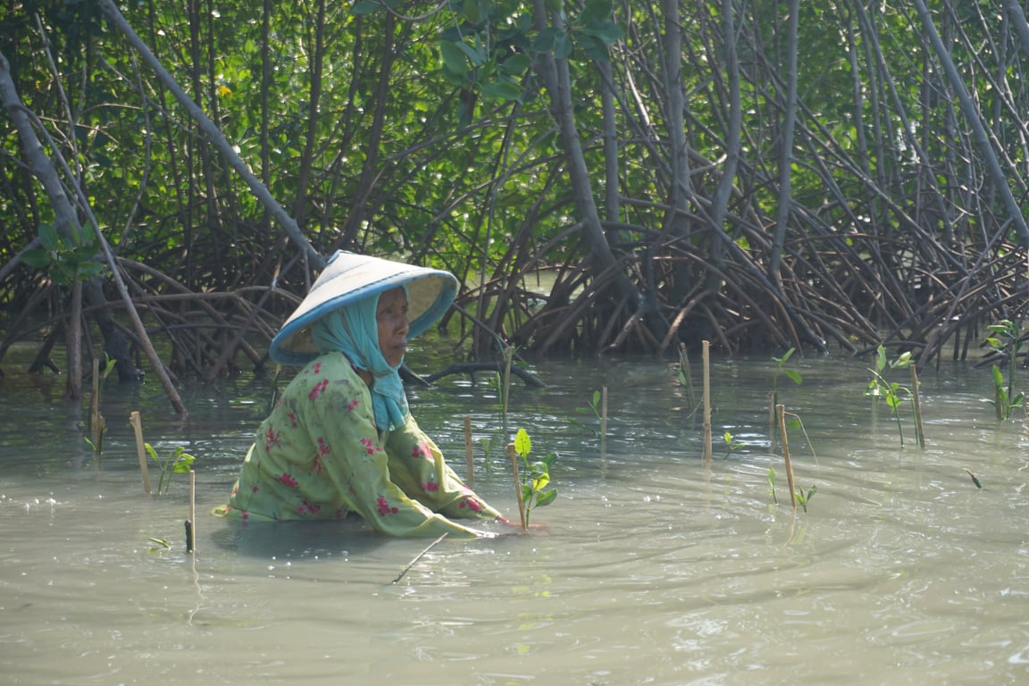 Sosok Mak Jah Mangrove, mitra penanaman LindungiHutan (Foto: Tim LindungiHutan)