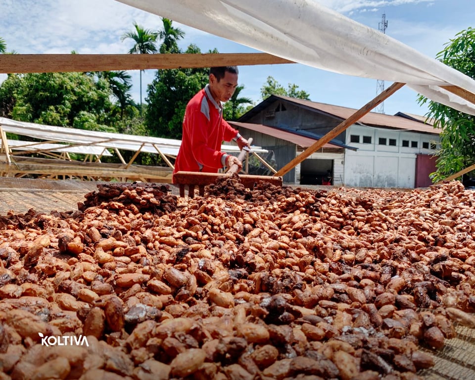 Inklusi petani sangat penting untuk mewujudkan keberlanjutan dan ketertelusuran yang lebih luas