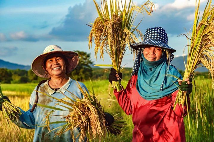 Indonesia Pasar Besar dan Sumber Daya Berlimpah