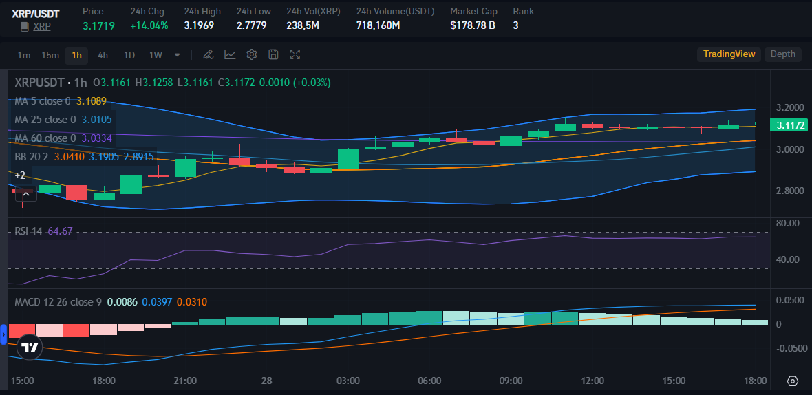XRP Price on Bitrue Market