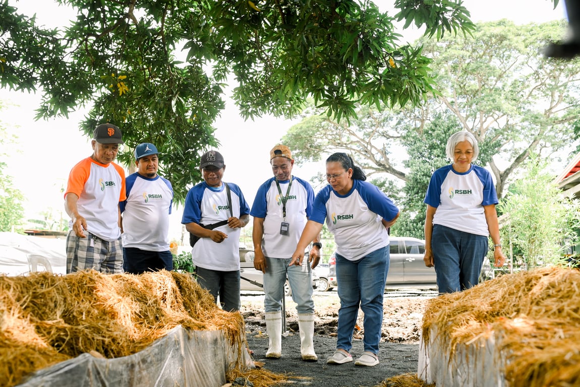 Farmers learn about mushroom cultivation using rice straw, highlighting circular agriculture and additional livelihood opportunities from rice by-products.