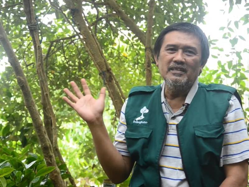 Slamet Abadi, penggerak dalam upaya penghijauan Pesisir Tangkolak.