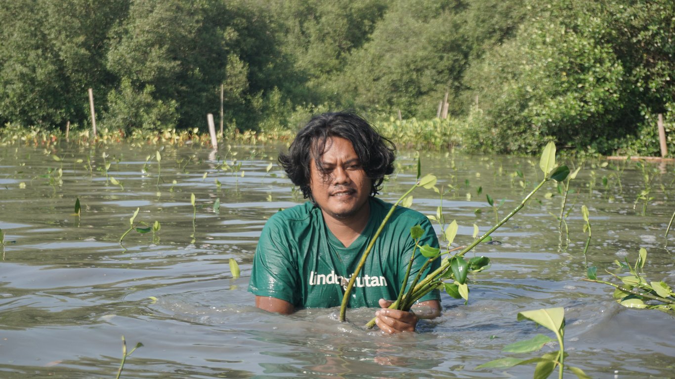 Penanaman mangrove di peisisr Trimulyo Semarang.